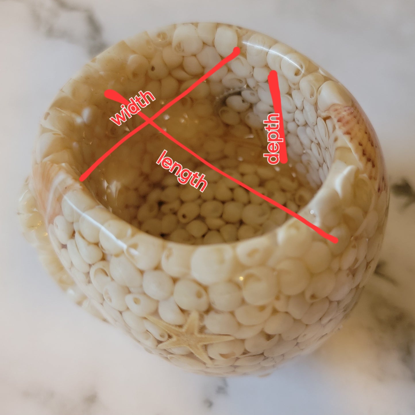 Epoxy resin skull dish filled with shells, shown with product dimensions depicted.