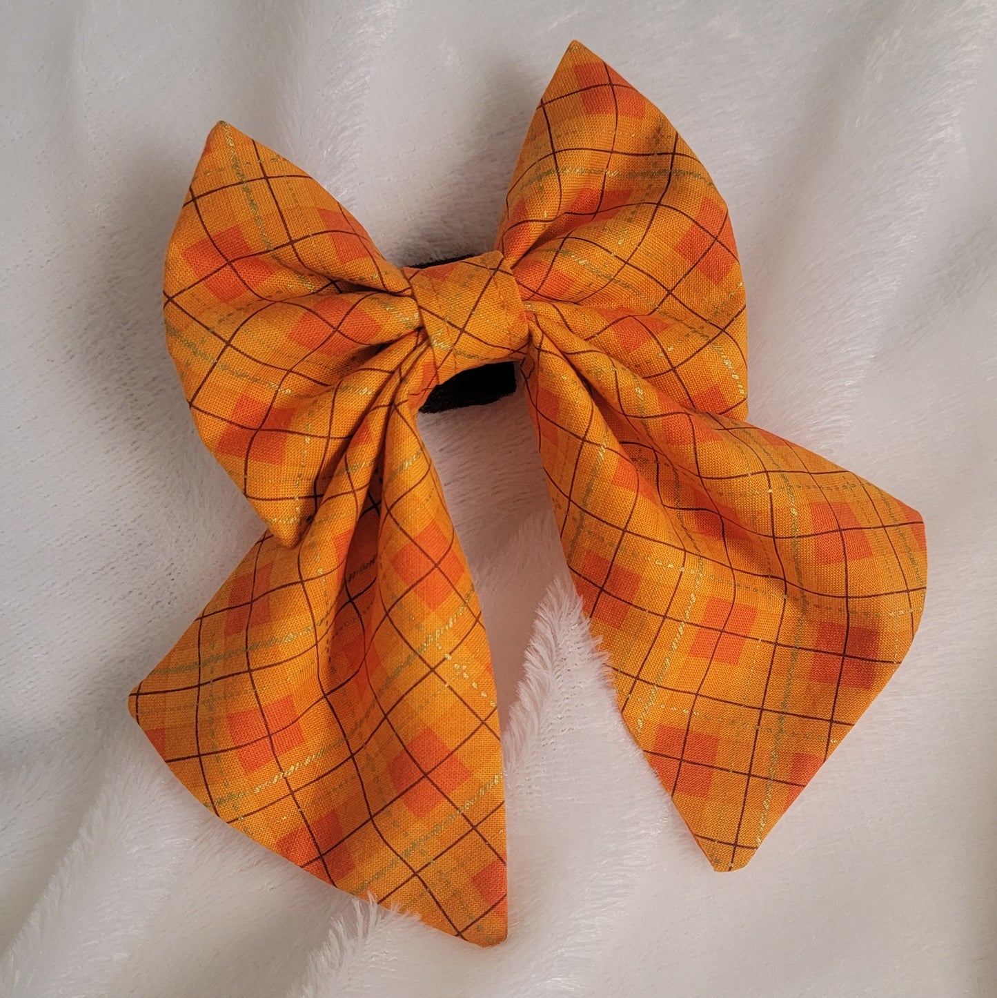 Autumn Argyle