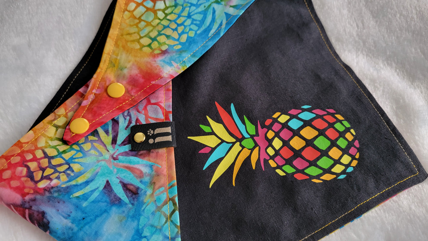 Pineapple Paradise