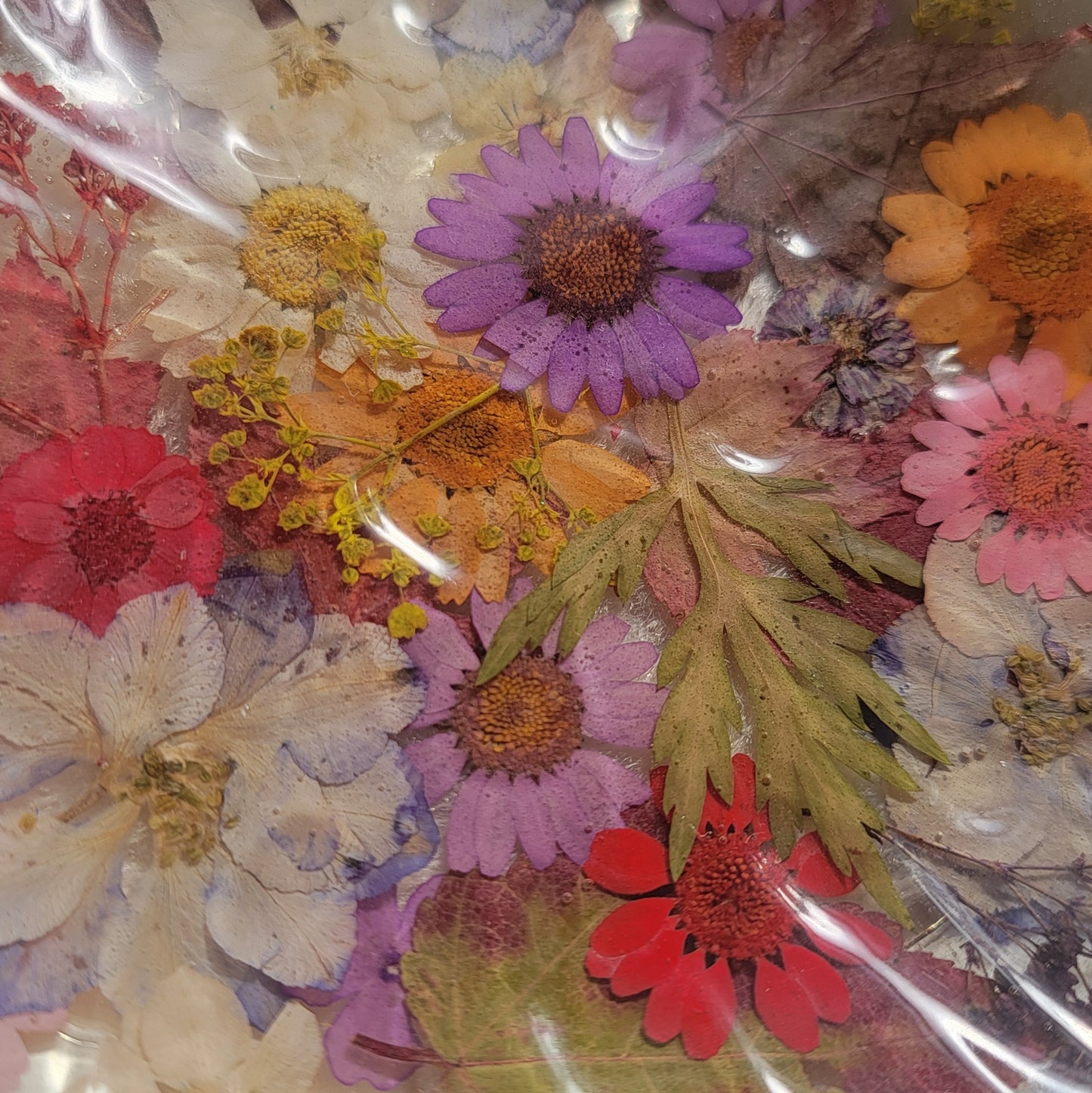 Floral Monstera Dish