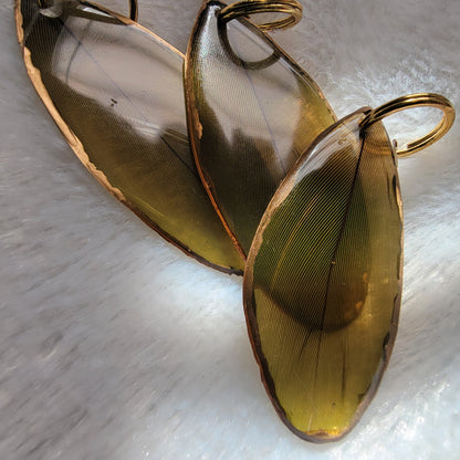 Three green feathers coated in epoxy resin, with gilded edges.
