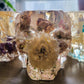 Floral Skulls