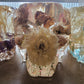 Floral Skulls