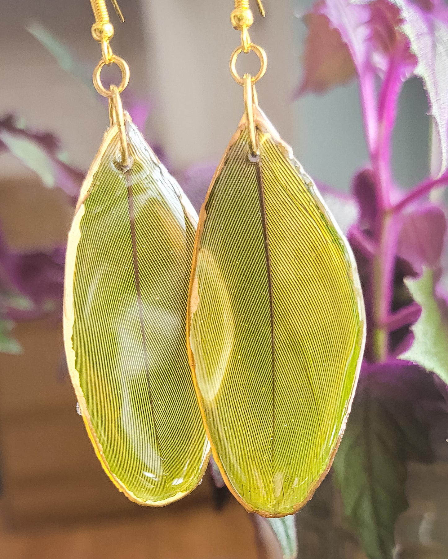 Macaw Feather Earrings