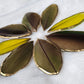 Four sets of various green macaw feathers, gilded and sealed in epoxy resin, displayed on a white textured blanket.