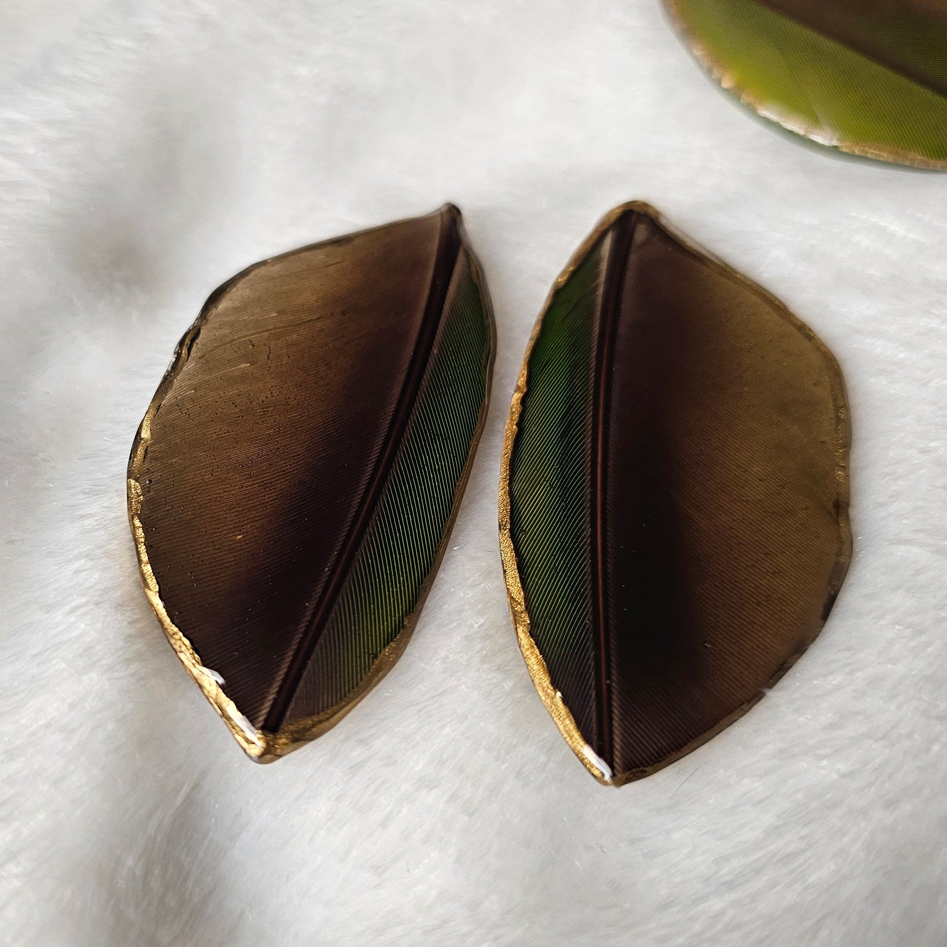 Green and dark brown macaw feathers with gilded edges and sealed in epoxy resin, displayed on a white background.