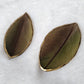 Green and dark brown macaw feathers with gilded edges and sealed in epoxy resin, displayed on a white background.