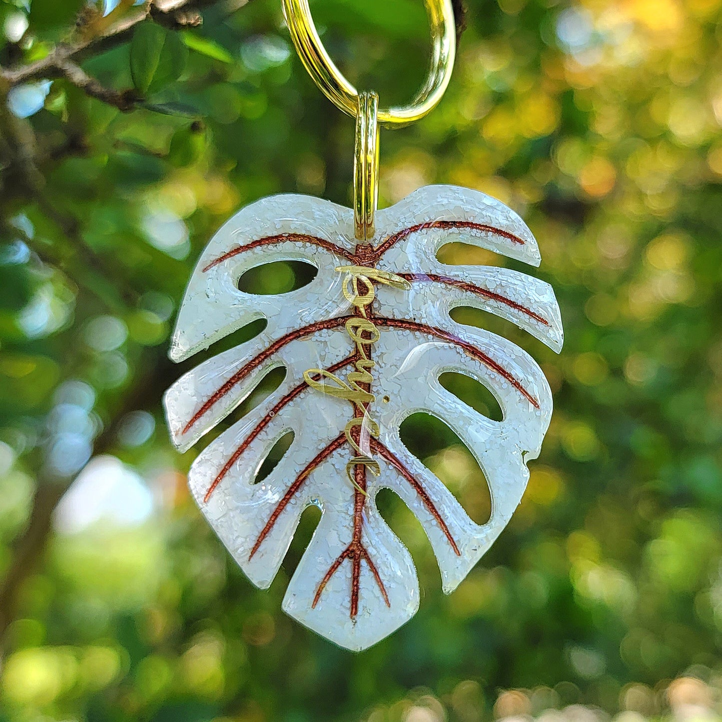 White Out Monstera Leaves