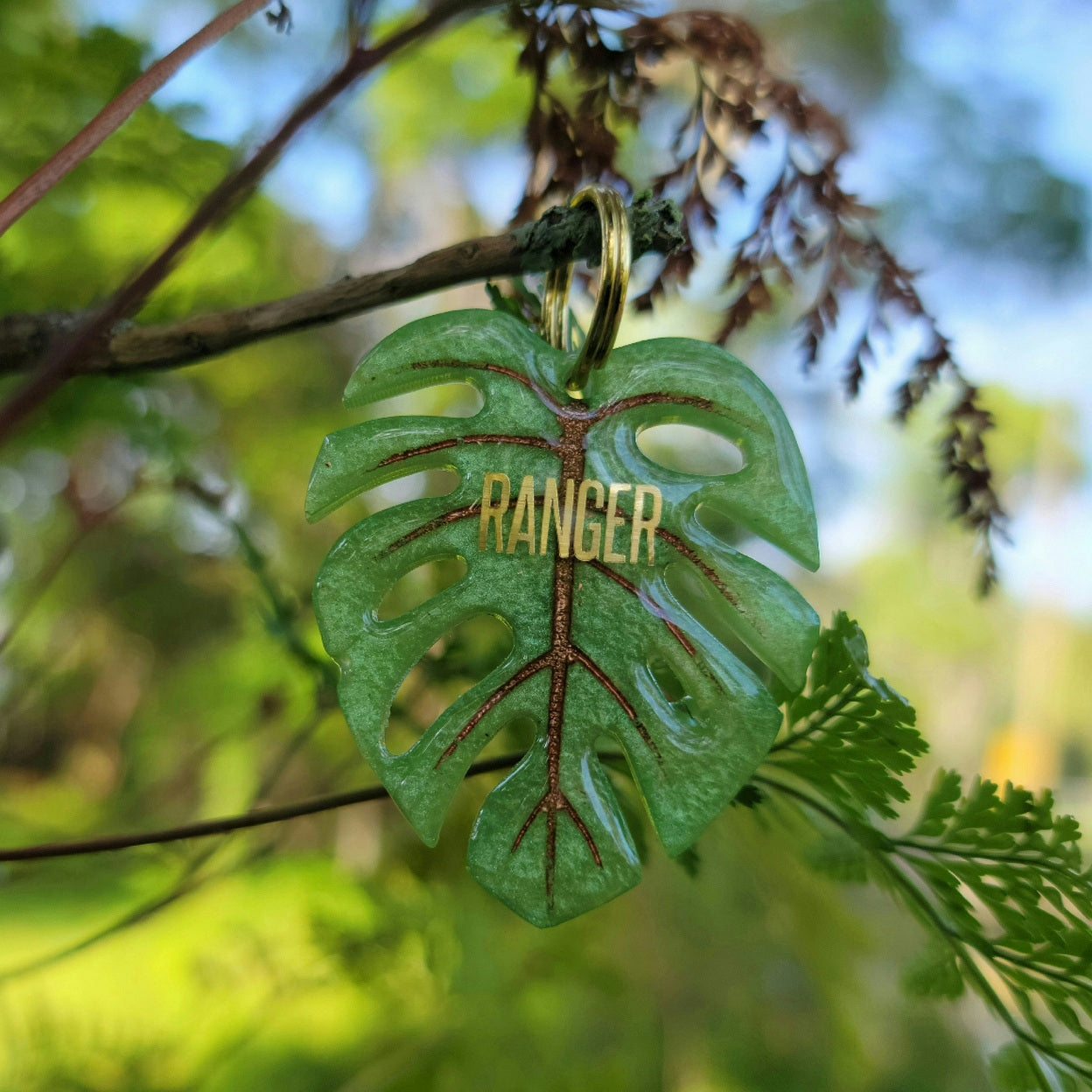 Sage Green Monstera Leaves