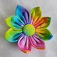 Rainbow Flower